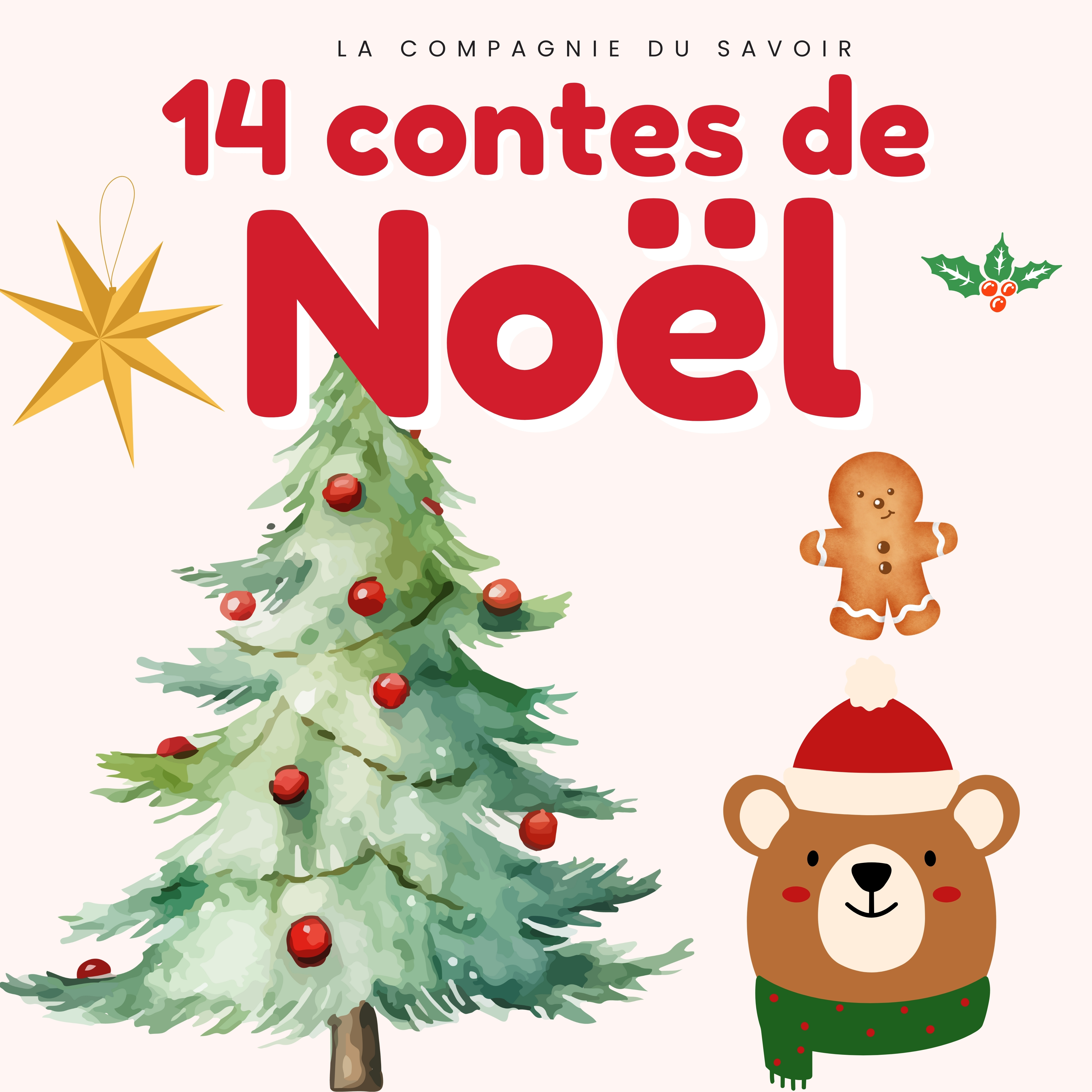 14 Contes de Noël