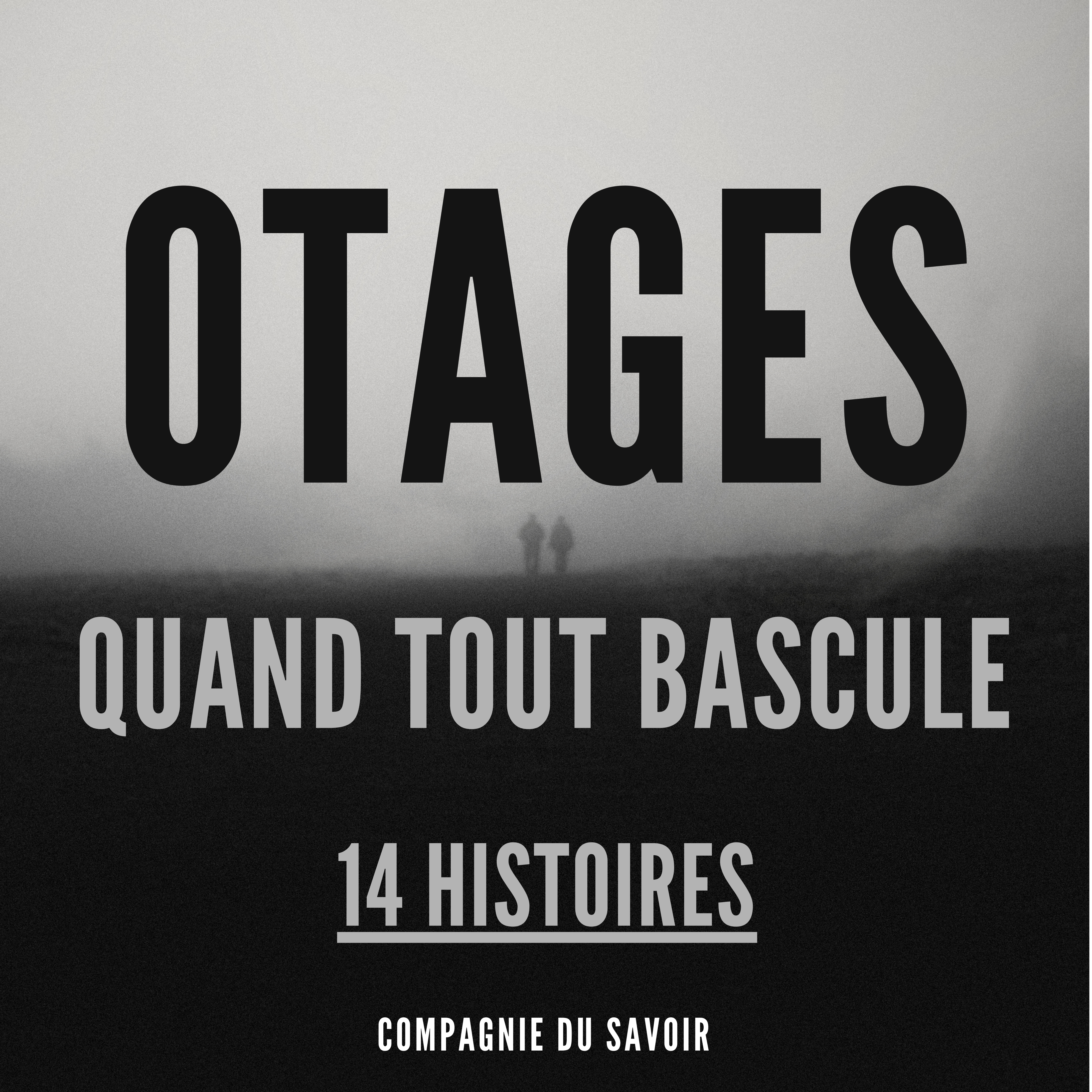 Otages - 14 histoires