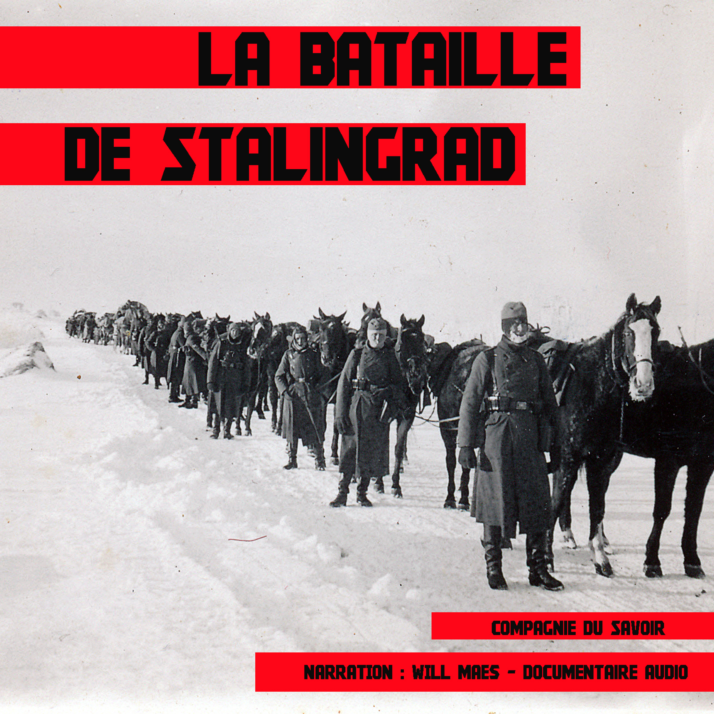 Dates De La Bataille De Stalingrad La bataille de Stalingrad | Compagnie du Savoir